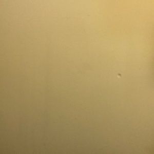 Meet your Posher, Phyllis